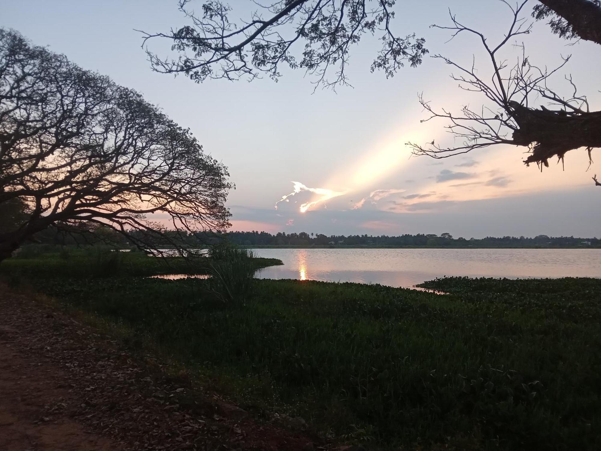 Tissa Rainbow Guest & Yala Hotel Tissamaharama Luaran gambar
