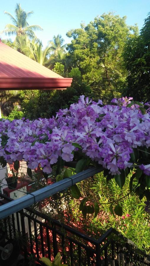 Tissa Rainbow Guest & Yala Hotel Tissamaharama Luaran gambar